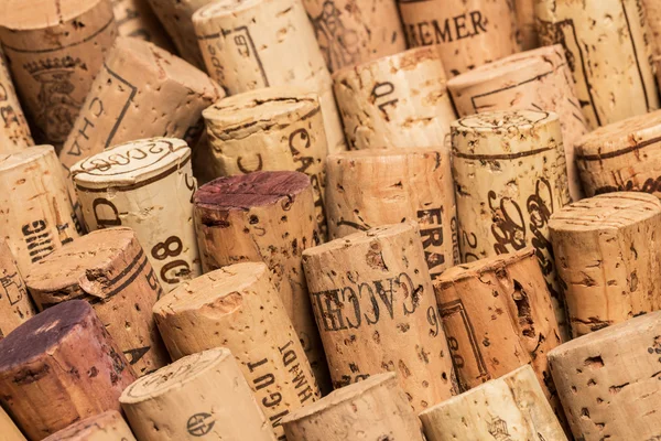 Wine corks in rows — Stock Photo, Image