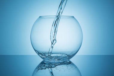 fishbowl kadar doldurmak