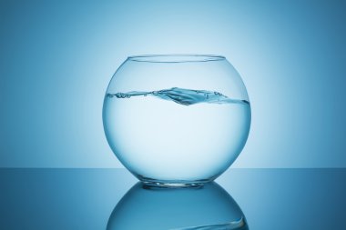 fishbowl dalgalarda