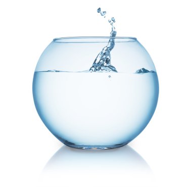 Fishbowl splash etkisi ile
