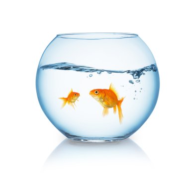 goldfish family in a fishbowl clipart
