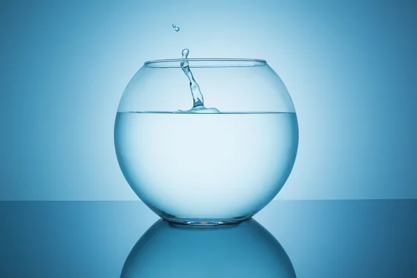 Fishbowl with water splash — Stock Photo, Image