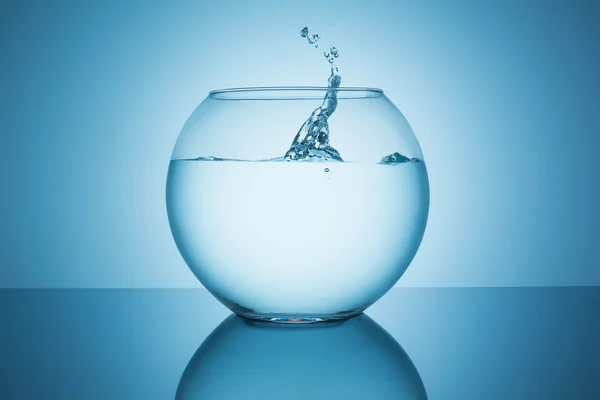 Water splash in a fishbowl — Stock Photo, Image
