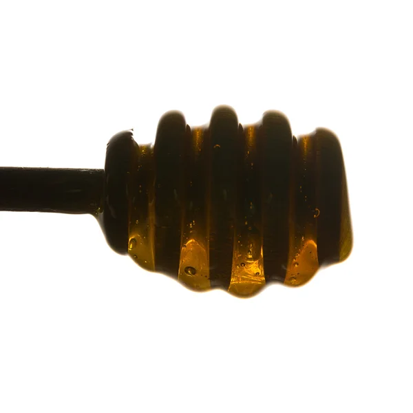 Honey dipper with honey — Stock Photo, Image