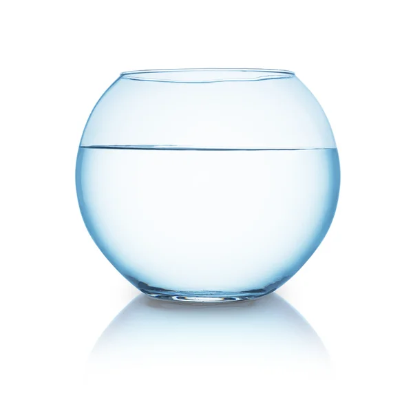 Goudvis fishbowl — Stockfoto