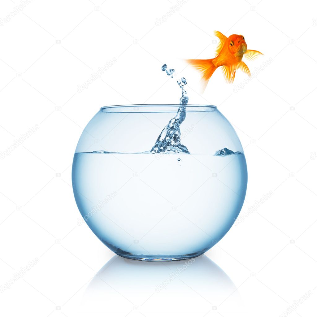 goldfish jumps out of a fishbowl