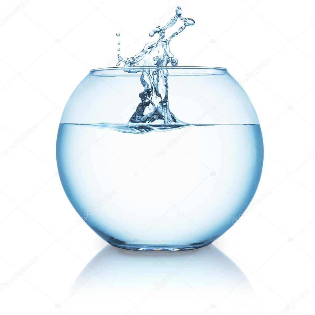 water splash in a fishbowl