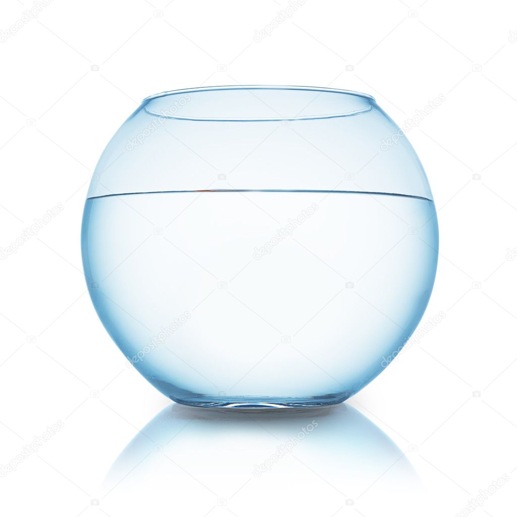 fishbowl isolated on white