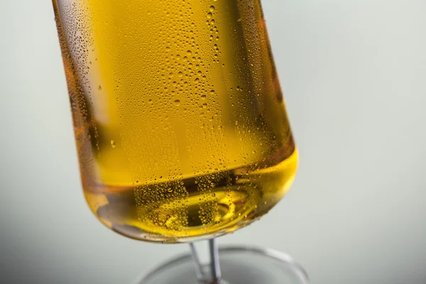 露の滴でドイツビール チューリップ — ストック写真