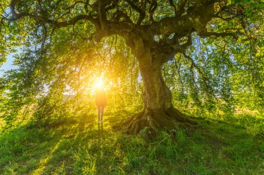 Kız yaşlı cüce kayın altında