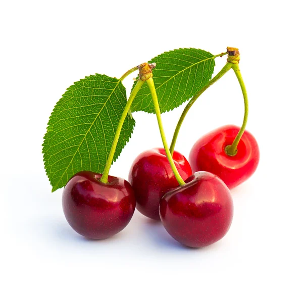 Süßkirschen mit Blatt — Stockfoto