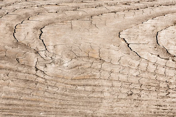 Estrutura de madeira textura de fundo — Fotografia de Stock