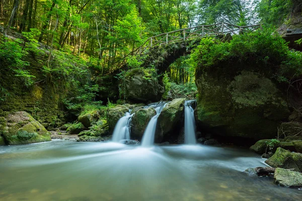 Waterfall in a deep forest — Stock Photo, Image