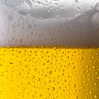 Çiğ damlaları ile bira cam