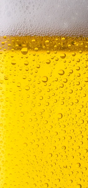 Cerveja com orvalho — Fotografia de Stock