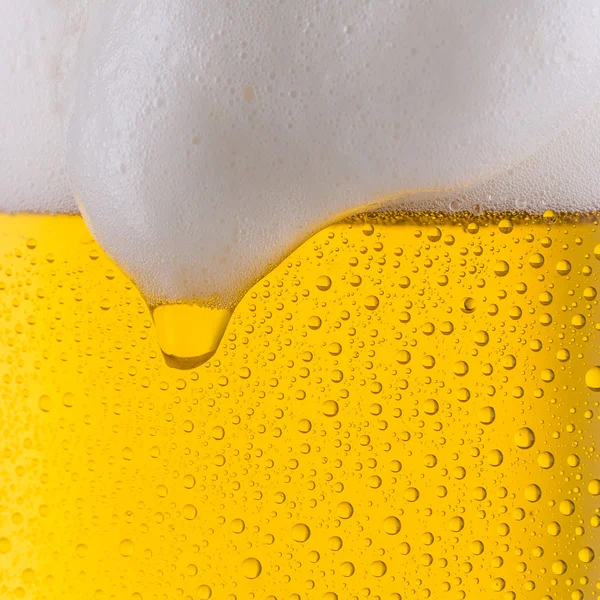 Cerveza fría con gotas de rocío — Foto de Stock