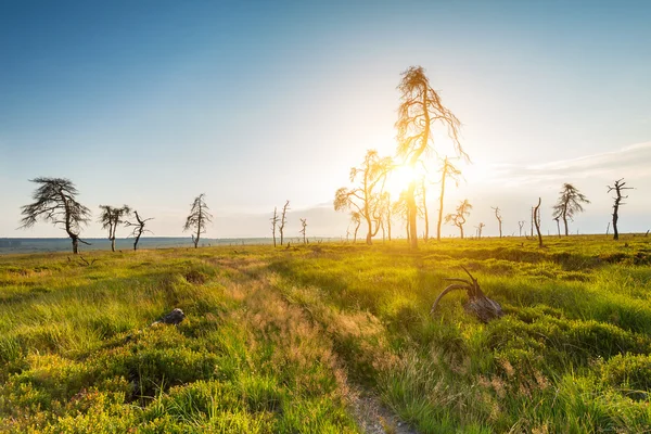 Noir Flohay at sunset — Stock Photo, Image