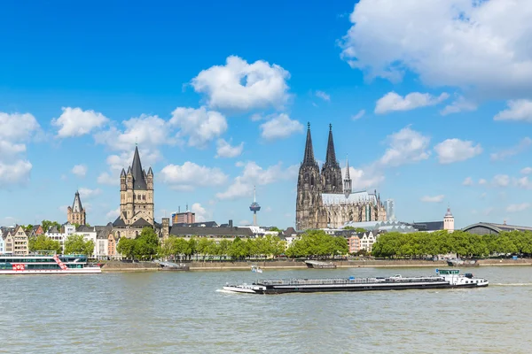 Köln Katedrali, yaz şehirle — Stok fotoğraf