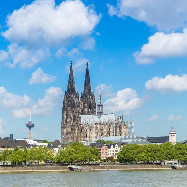 Cologne cathedral at spring — Stock Photo, Image