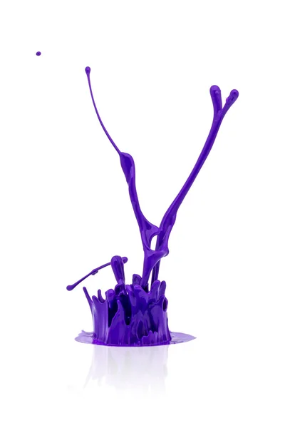 Purple paint splash on white — Stock Photo, Image