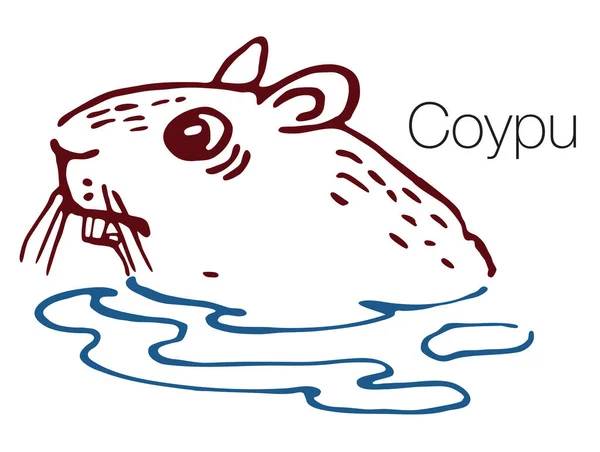 Illustrazione vettoriale disegnata a mano Coypu — Vettoriale Stock