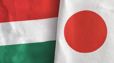 Japonya ve Macaristan 'da iki bayraklı kumaş 3D görüntüleme