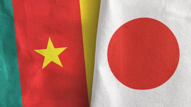 Japonya ve Kamerun iki bayraklı tekstil kumaşı 3D