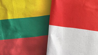 Endonezya ve Litvanya iki bayraklı tekstil kumaşı 3D