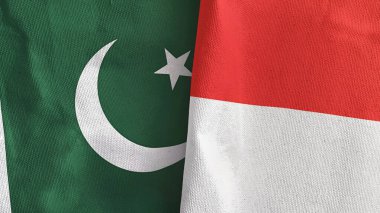 Endonezya ve Pakistan iki bayrak tekstil kumaşı 3D