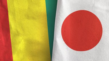 Japonya ve Gine iki bayraklı tekstil kumaşı 3D