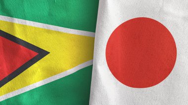 Japonya ve Guyana iki bayraklı tekstil kumaşı 3D.