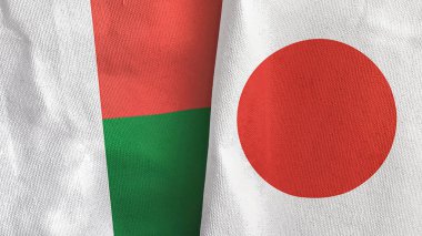 Japonya ve Madagaskar iki bayraklı tekstil kumaşı 3D
