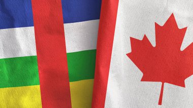 Kanada ve Orta Afrika Cumhuriyeti 'nde üç boyutlu tekstil kumaşı üretildi