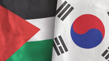 Güney Kore ve Filistin 'de iki bayraklı tekstil kumaşı 3D