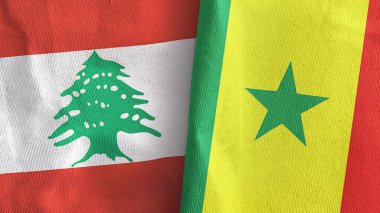 Senegal ve Lübnan iki bayraklı tekstil kumaşı 3D