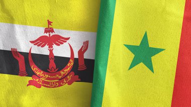 Senegal ve Brunei iki bayrak tekstil kumaşı 3D.