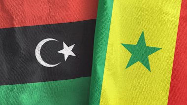 Senegal ve Libya 'da üç boyutlu tekstil kumaşı üretiliyor