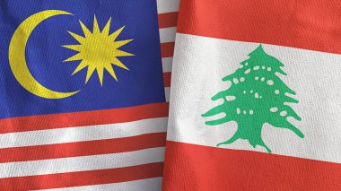 Lübnan ve Malezya iki bayraklı tekstil kumaşı 3D