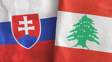 Lübnan ve Slovakya iki bayraklı tekstil kumaşı 3D