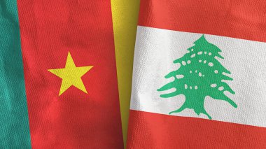 Lübnan ve Kamerun iki bayraklı tekstil kumaşı 3D