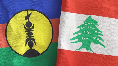 Lübnan ve Yeni Kaledonya 2 bayraklı tekstil kumaşı 3D