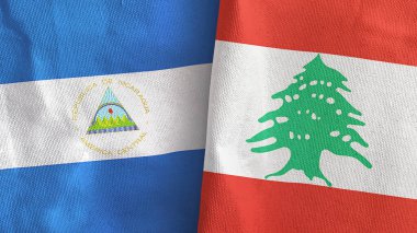 Lübnan ve Nikaragua 2 bayraklı tekstil kumaşı 3D