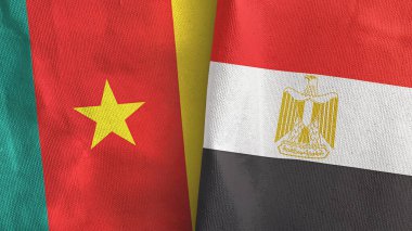Mısır ve Kamerun iki bayraklı tekstil kumaşı 3D
