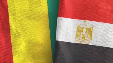 Mısır ve Gine iki bayraklı tekstil kumaşı 3D