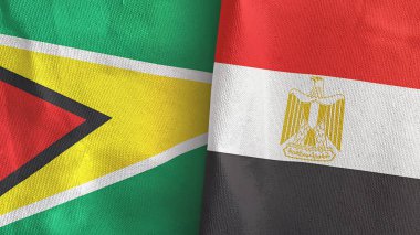 Mısır ve Guyana iki bayraklı tekstil kumaşı 3D