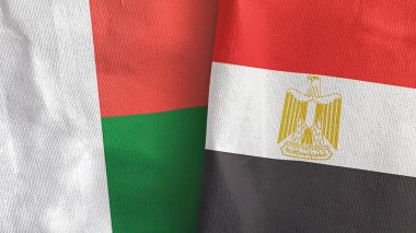 Mısır ve Madagaskar iki bayraklı tekstil kumaşı 3D
