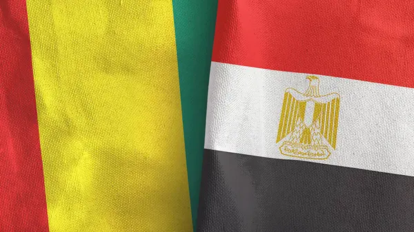 Mısır ve Gine iki bayraklı tekstil kumaşı 3D