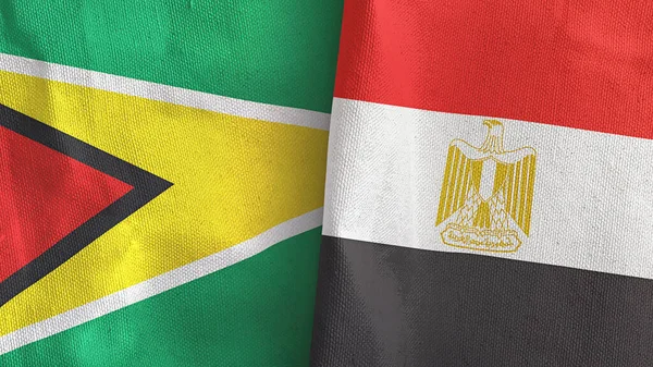 Mısır ve Guyana iki bayraklı tekstil kumaşı 3D