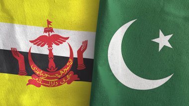 Pakistan ve Brunei iki bayraklı tekstil kumaşı 3D