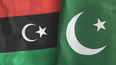 Pakistan ve Libya 'da üç boyutlu tekstil kumaşı üretiliyor